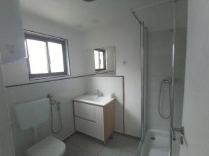 阿尔玛根Ginjals 67的浴室配有卫生间、盥洗盆和淋浴。