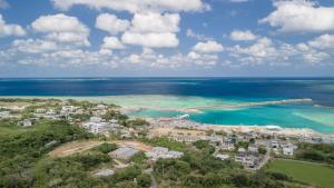 西表岛リゾートイン西表島的享有海滩和海洋的空中景致