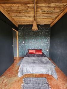 哈特比斯普特Hartbees Eco Bush Lodge 1的一间卧室配有一张带红色枕头的大床