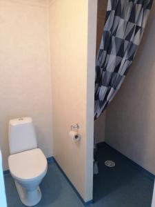 本茨福什Hotell Hemgården的一间带卫生间和淋浴的浴室