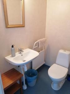 本茨福什Hotell Hemgården的浴室配有白色水槽和卫生间。