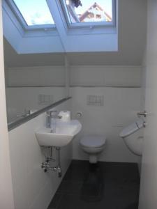 西海姆Apartment im Salzburger Seenland的一间带卫生间、水槽和窗户的浴室