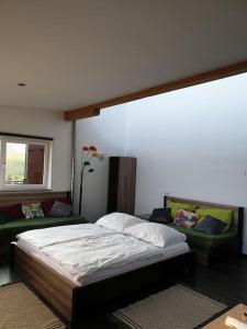西海姆Apartment im Salzburger Seenland的一间卧室配有一张床和一张沙发