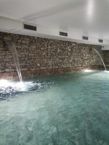 圣玛尔塔迪佩纳吉昂Quinta de Travassinhos- Douro Valley的一个大水池,有两个喷泉