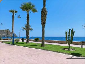 卡沃内拉斯precioso y moderno apartamento frente al mar的海滩上一排棕榈树和长凳