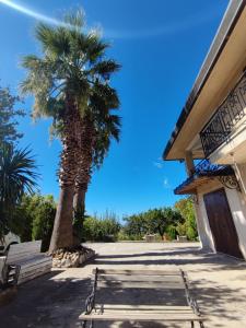 MontelepreVilla Calcerame的旁边是棕榈树,有长凳
