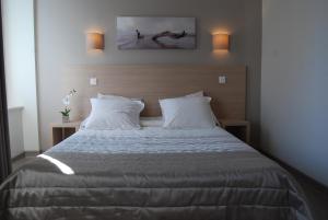 罗德兹Logis Hôtel du Midi - Rodez Centre-Ville的一间卧室配有一张大床和两个枕头