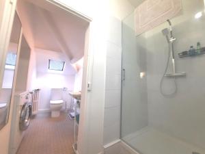 布瓦乐洛伊La Seine, entre rivière et forêt de Fontainebleau的带淋浴和卫生间的浴室