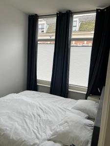 莱顿Poelgeeststraat的一间卧室设有一张床和两个窗户。