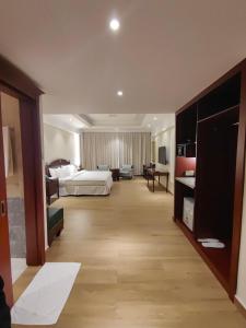 拜尔卡ALYA Hotel的配有一张床和一张书桌的酒店客房