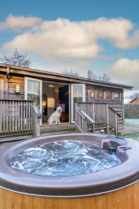 吉斯本Ribblesdale Park的狗坐在带热水浴缸的房子的甲板上