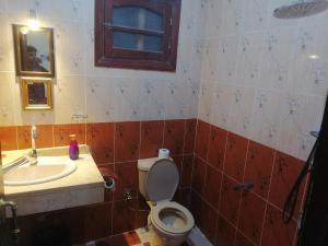 卢克索Twin rooms close to most tourist areas的一间带卫生间和水槽的浴室