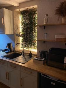 米尔库尔BEAUTIFUL LIFE BED and SPA的厨房柜台设有水槽和微波炉