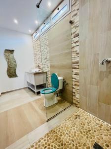 安布希德拉特里穆COCODY ROC的一间带卫生间和玻璃淋浴间的浴室
