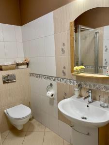马汀Apartmán Ranč的一间带水槽和卫生间的浴室