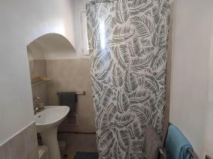 格雷乌莱班Oasis tranquille - L'évasion au Verdon的浴室配有淋浴帘和盥洗盆。