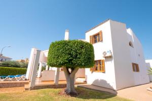 马略卡岛帕尔马Casa Felix的前面有一棵树的白色房子