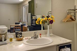 雷德布拉夫雷德布拉夫速8酒店的浴室设有水槽、镜子和鲜花