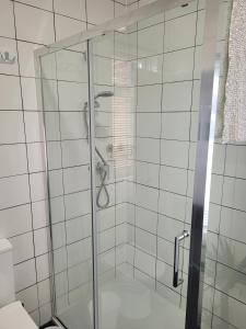 滨海绍森德Edelweiss Guest House的浴室里设有玻璃门淋浴