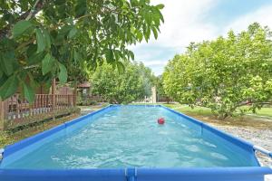 Kampong Sungai MatiOYO HOME 90692 Tok Babah Village Homestay的一座有球的游泳池,位于一个有树木的院子内