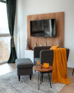 迪瓦伊巴雷Divchy dream studio的客厅配有沙发和椅子