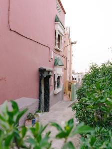 塔姆拉赫特乌兹达尔Santacruz Hostel的前方有植物的粉红色建筑中的小巷