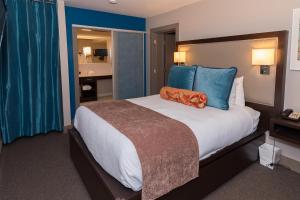 博福特城市阁楼酒店 的酒店客房配有一张带蓝色枕头的大床