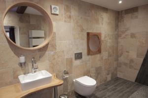 OsenbachLe Domaine du Verger, Chambres et SPA prive的一间带卫生间、水槽和镜子的浴室