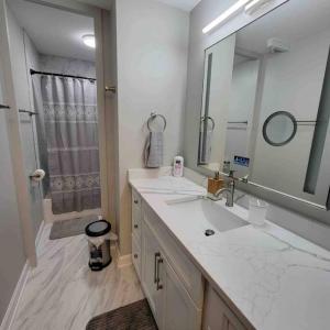 罗克福德Affordable One Bedroom Rockford的一间带水槽、镜子和淋浴的浴室