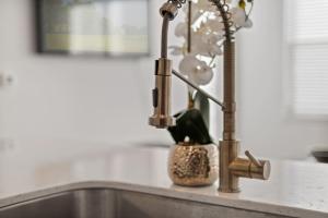 费舍尔Luxurious 1-Bedroom Fishers的厨房水槽配有水龙头和植物
