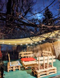 蒂米什瓦拉Re-Born Hostel的天井设有木长椅和带灯的天篷