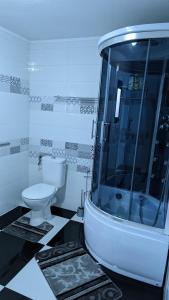 克利默内什蒂Casa Beatrice的一间带卫生间和玻璃淋浴间的浴室