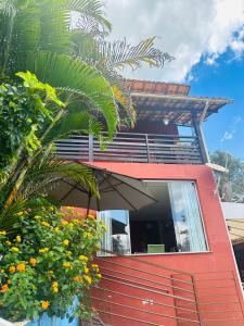 马卡科斯Macaco Prosa的前面有棕榈树的红色房子