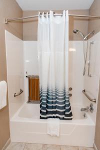 斯普林菲尔德卡彭特大街酒店的浴室设有蓝色和白色的淋浴帘