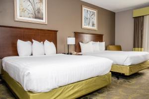 斯普林菲尔德卡彭特大街酒店的配有白色枕头的酒店客房内的两张床