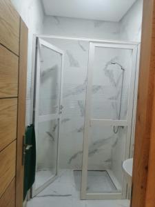 拉巴特Hassan Rabat的浴室里设有玻璃门淋浴