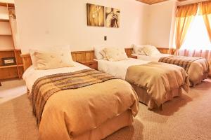 拉斯特朗卡斯Hotel y Cabañas Borde Andino的酒店客房设有两张床和窗户。