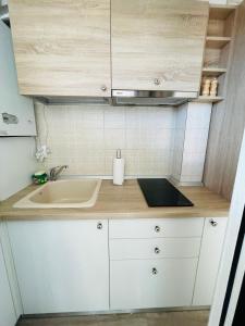 雅西Olive Apartament的一个带水槽和柜台的小厨房