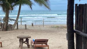 图斯潘罗德里格斯卡诺Eco cabaña Mimi的海滩上的一张桌子和一把椅子