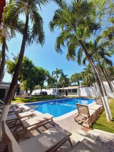San LuisMi Tierra Hotel y Restaurante的一个带躺椅的游泳池,棕榈树