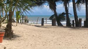 图斯潘罗德里格斯卡诺Eco cabaña Mimi的棕榈树和海洋的沙滩