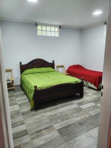 萨尔塔Don Mateo - Casa de Campo的一间卧室配有一张带绿毯的床