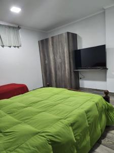 萨尔塔Don Mateo - Casa de Campo的一间卧室配有绿色的床和一台平面电视