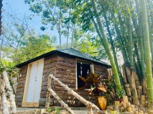 大叻Hoàng Gia Trang的树中间的小小木屋