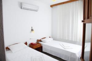 帕塔拉阿波罗大酒店 的客房设有两张床和窗户。