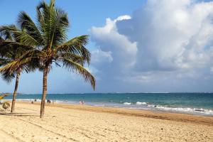 圣胡安DREAMCATCHER by DW的两棵棕榈树和大海的海滩