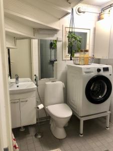 罗瓦涅米Villa Juuris的一间带卫生间和洗衣机的浴室