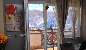 科帕奥尼克APARTMENTS FOKA&SPA - 600m from Gondola ski lift的客房设有山景窗户。