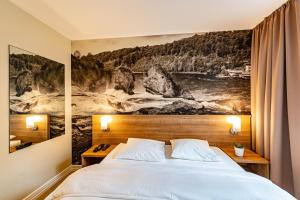 沙夫豪森克罗嫩霍夫酒店的一间卧室配有一张壁画床
