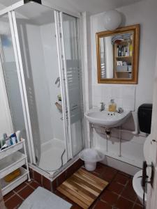 都柏林Annesley Park-Homestay AP的带淋浴和盥洗盆的浴室